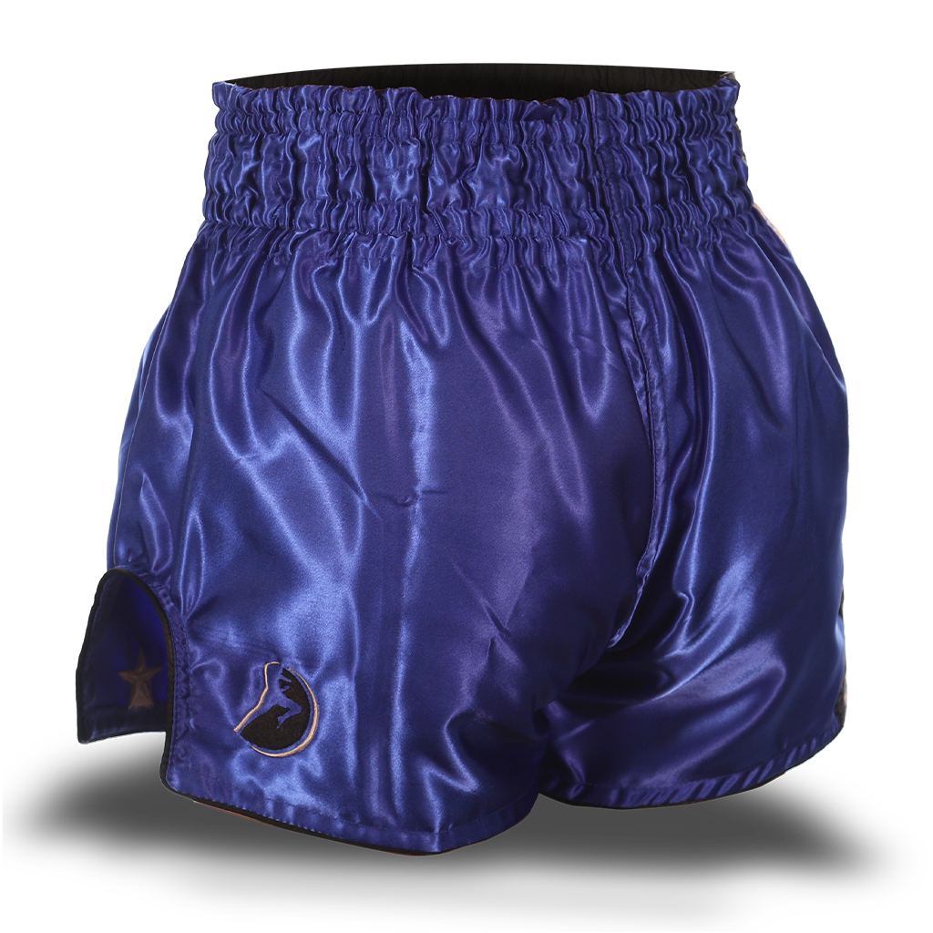 Blue and Grey Single Panel Stars Muay Thai Shorts