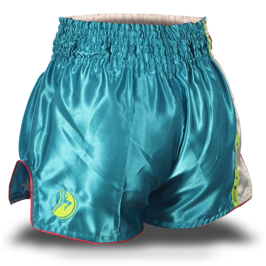 Aqua Blue Single Panel Stars Muay Thai Shorts
