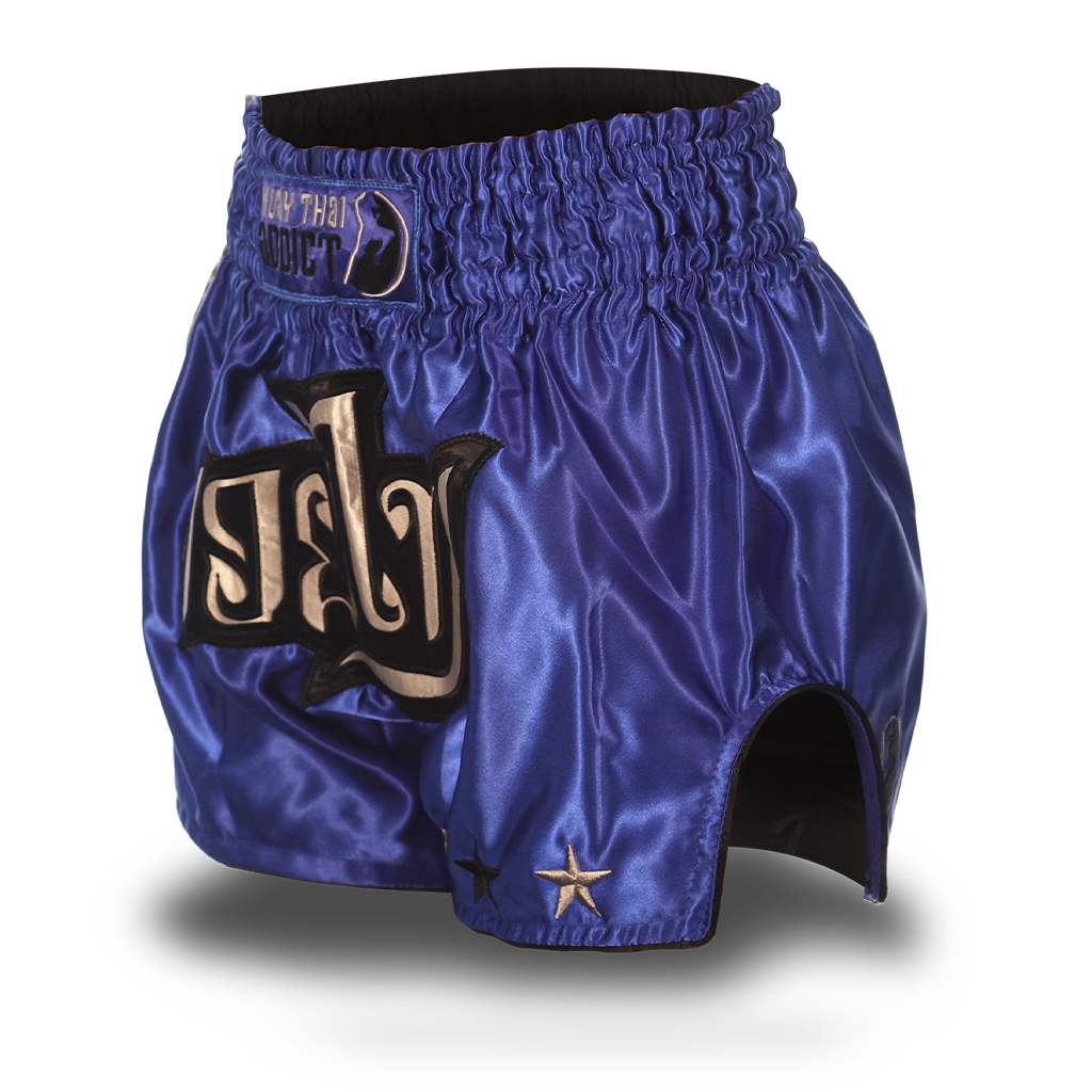 Blue and Grey Single Panel Stars Muay Thai Shorts